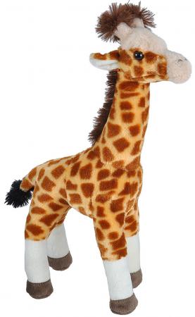 Giraff