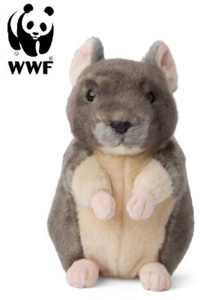 Chinchilla - WWF (Världsnaturfonden)