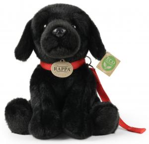 Labrador