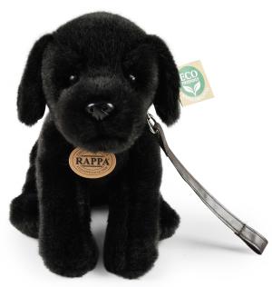 Labrador