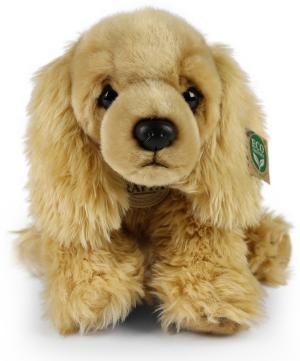Cocker Spaniel