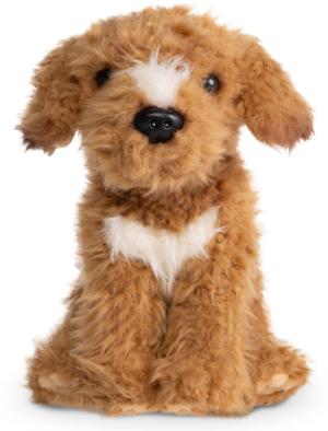 Labradoodle