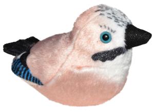 Nötskrika med fågelläte