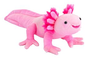 Axolotl