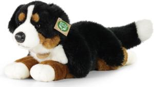 Berner Sennenhund