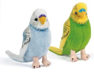 Undulat med ljud - Keycraft Living Nature