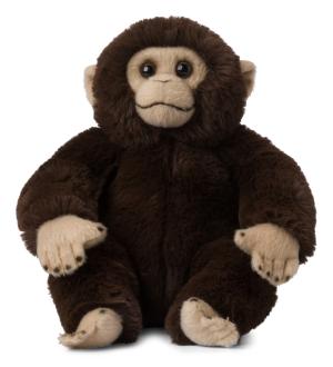 Schimpans - WWF (Världsnaturfonden)