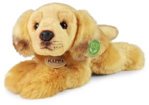Golden Retriever (liggande)
