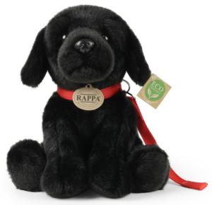 Labrador