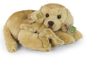 Golden Retriever med valp