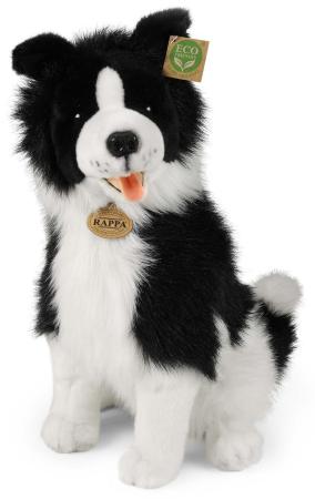 Border Collie (sittande)