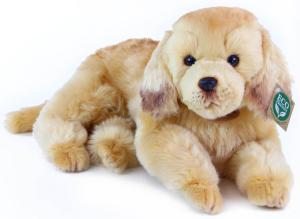 Golden Retriever (liggande)